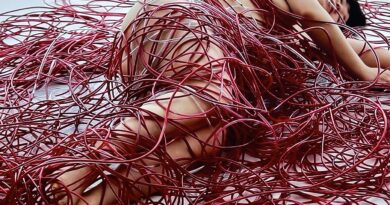 Chiharu Shiota al MAO di Torino
