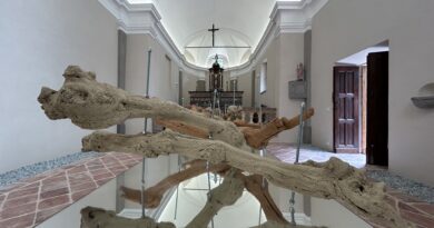 Tamara Repetto. Architettura salmastra: anatomia sospesa del paesaggio