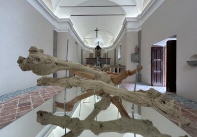 Tamara Repetto. Architettura salmastra: anatomia sospesa del paesaggio