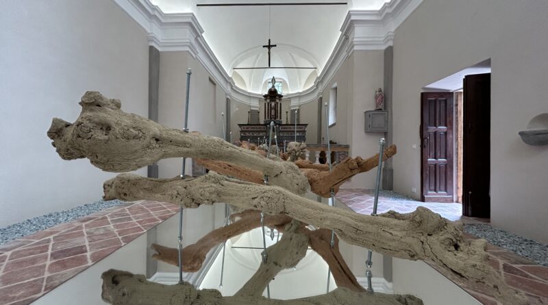 Tamara Repetto. Architettura salmastra: anatomia sospesa del paesaggio